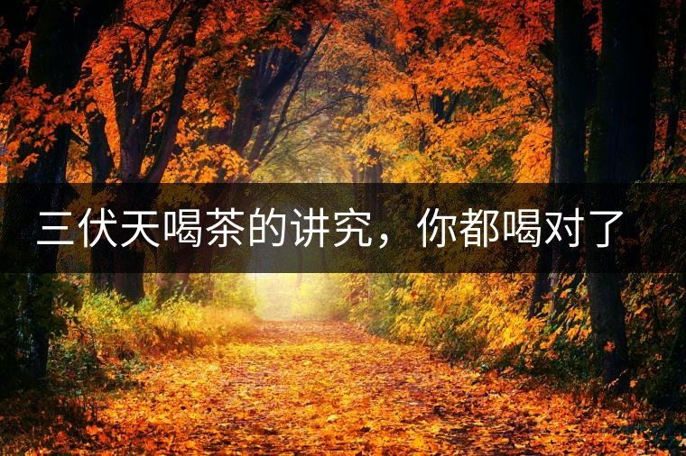 三伏天喝茶的講究，你都喝對(duì)了嗎？