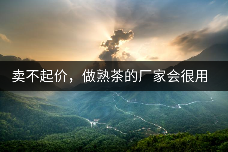 賣不起價，做熟茶的廠家會很用心生產(chǎn)熟茶嗎？