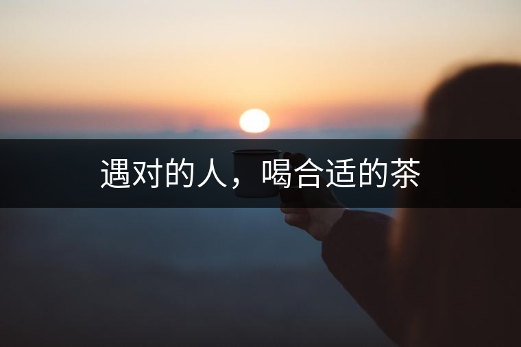 遇對的人，喝合適的茶