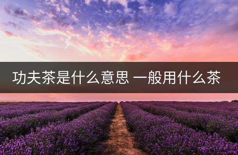 功夫茶是什么意思 一般用什么茶葉