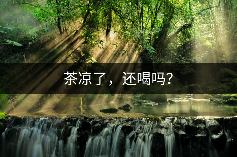 茶涼了，還喝嗎？