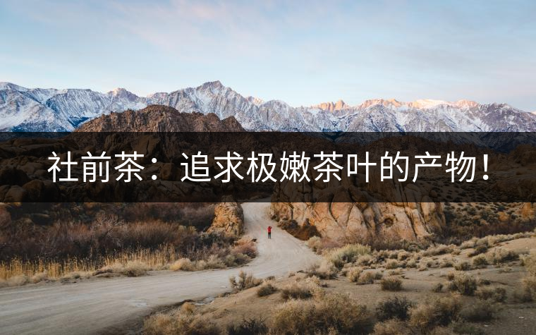 社前茶：追求極嫩茶葉的產(chǎn)物！