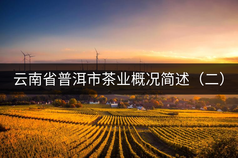 云南省普洱市茶業(yè)概況簡述（二）
