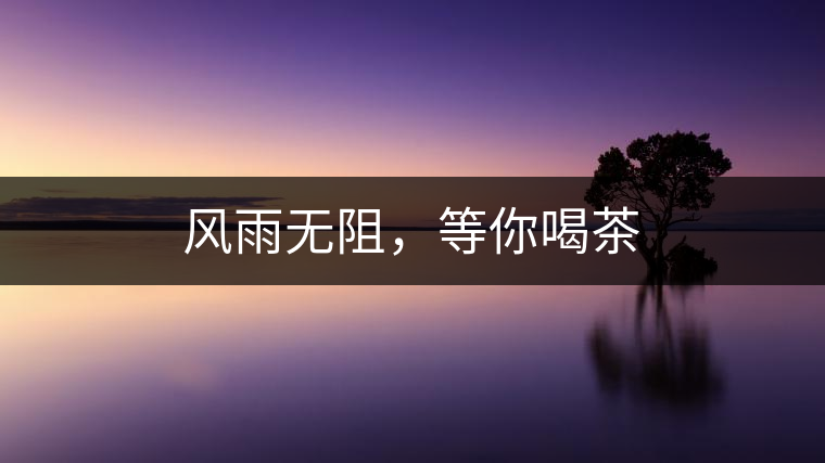 風(fēng)雨無阻，等你喝茶