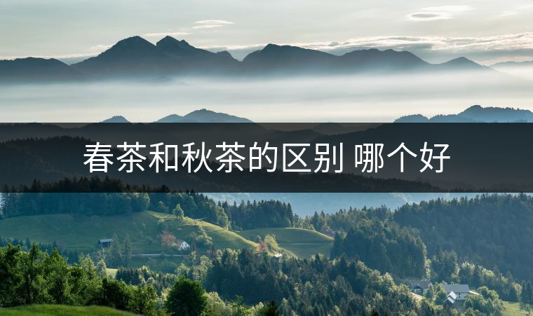 春茶和秋茶的區(qū)別 哪個好