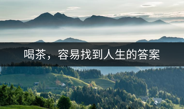 喝茶，容易找到人生的答案