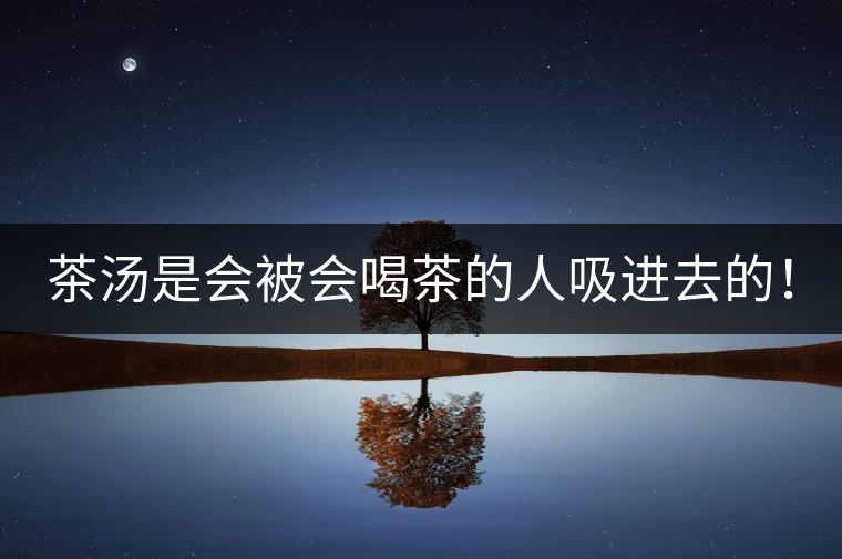 茶湯是會被會喝茶的人吸進(jìn)去的！