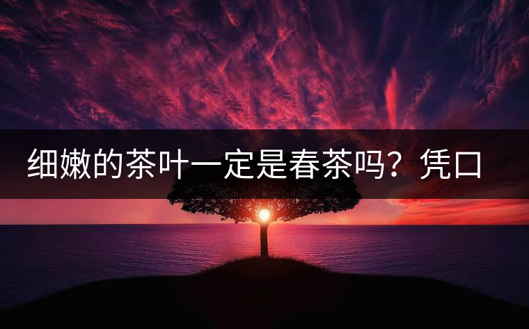 細(xì)嫩的茶葉一定是春茶嗎？憑口感鑒別春茶的方法