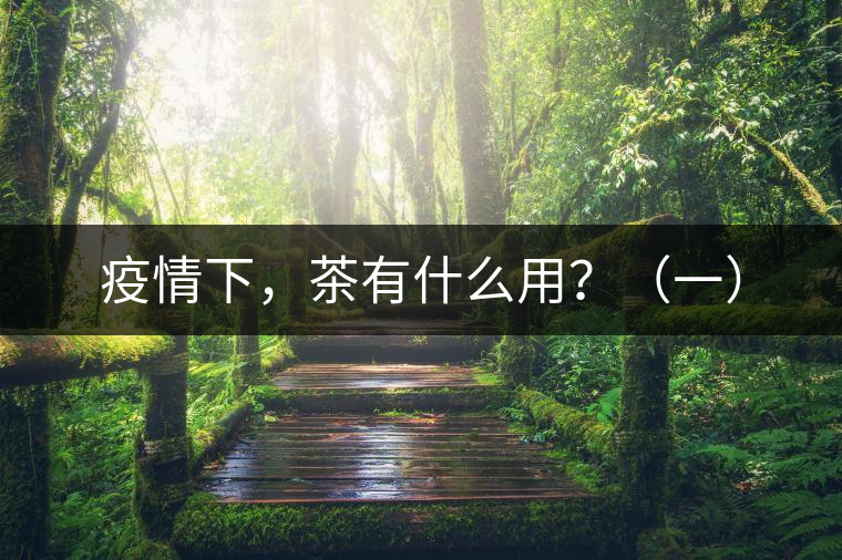 疫情下，茶有什么用？（一）