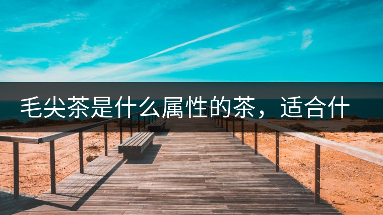 毛尖茶是什么屬性的茶，適合什么群體品飲？