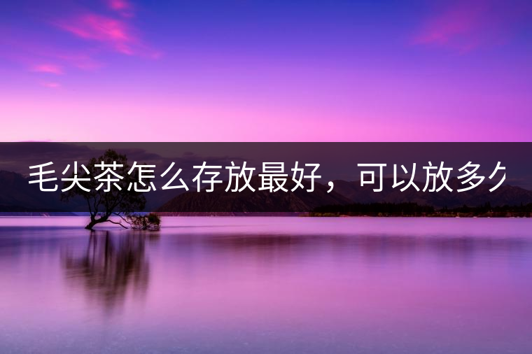 毛尖茶怎么存放最好，可以放多久？