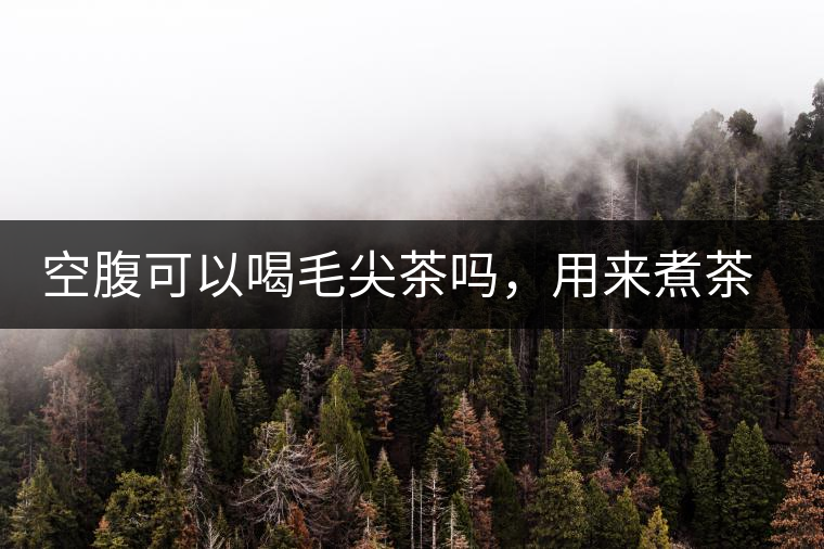 空腹可以喝毛尖茶嗎，用來(lái)煮茶葉蛋怎么樣？