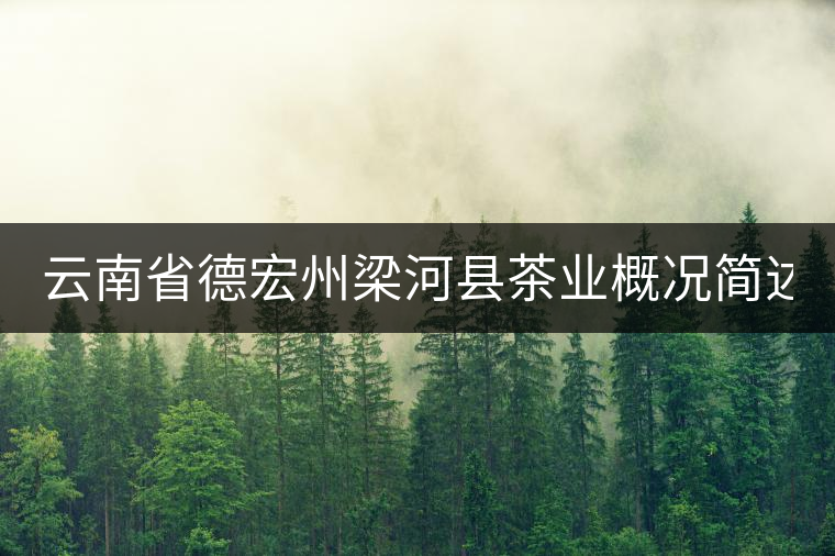 云南省德宏州梁河縣茶業(yè)概況簡述（下敘）