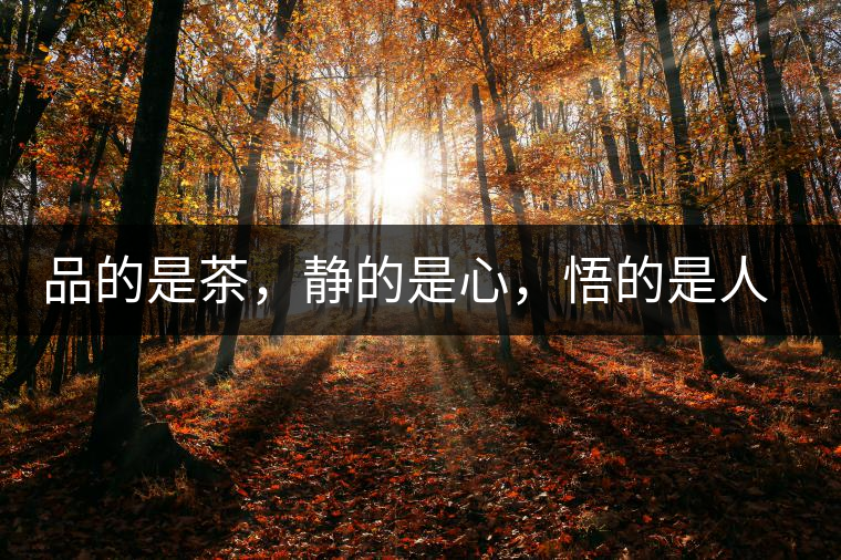 品的是茶，靜的是心，悟的是人生，滌的是靈魂