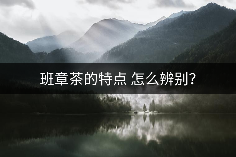 班章茶的特點(diǎn) 怎么辨別？