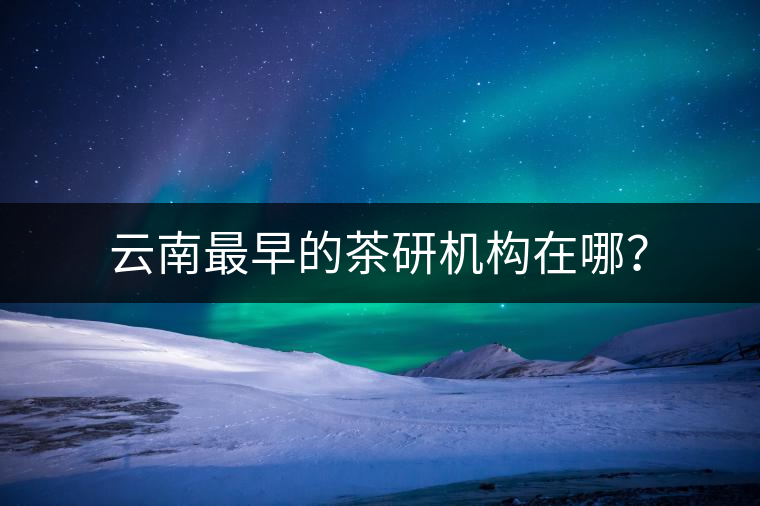 云南最早的茶研機(jī)構(gòu)在哪？