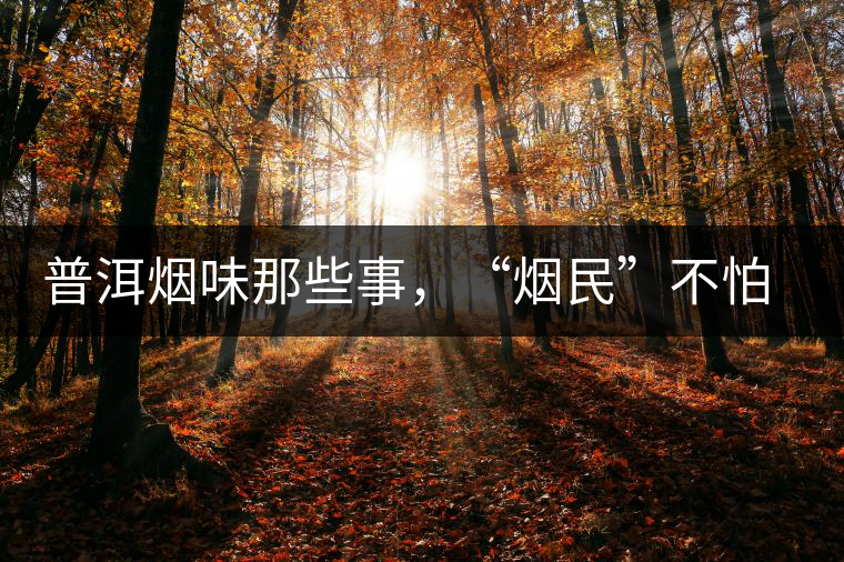 普洱煙味那些事，“煙民”不怕當(dāng)