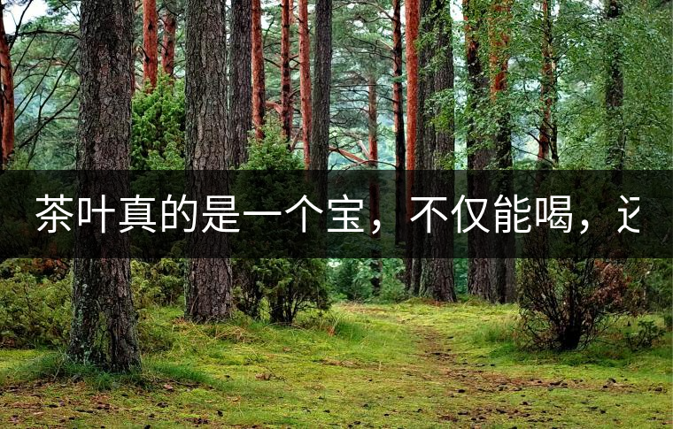 茶葉真的是一個寶，不僅能喝，還能用！