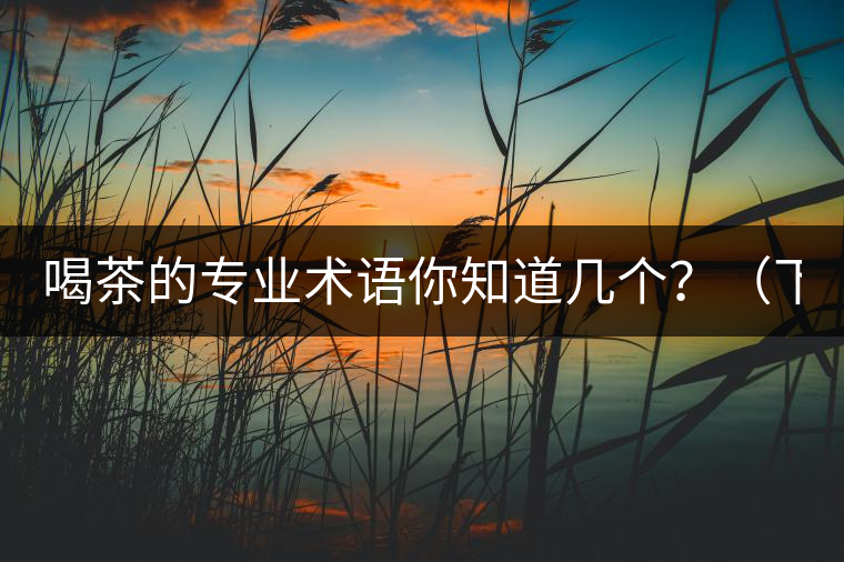 喝茶的專業(yè)術(shù)語你知道幾個？（下篇）