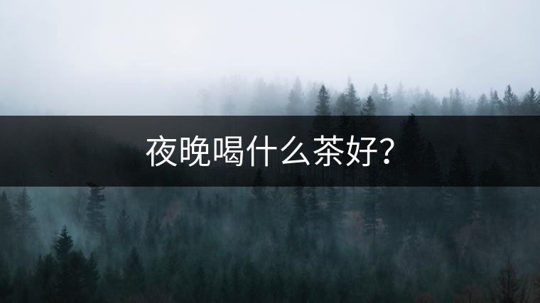夜晚喝什么茶好？