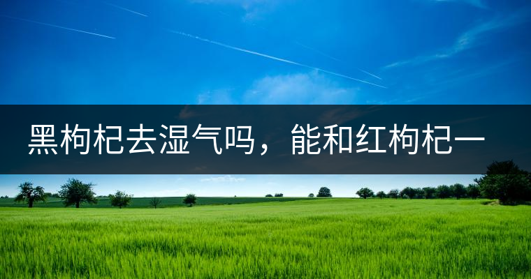 黑枸杞去濕氣嗎，能和紅枸杞一起泡嗎？