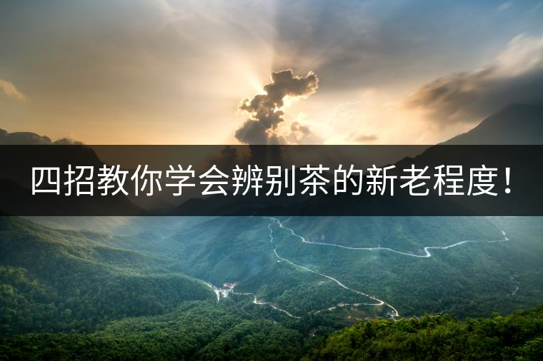 四招教你學會辨別茶的新老程度！