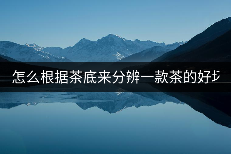 怎么根據(jù)茶底來分辨一款茶的好壞！