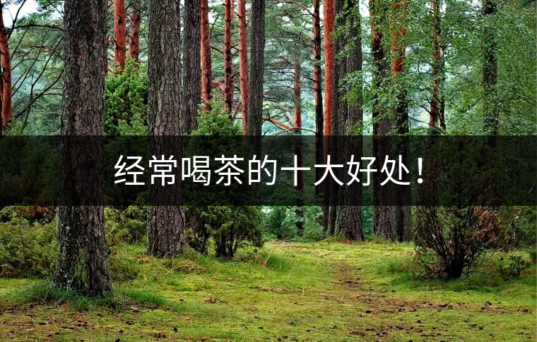 經(jīng)常喝茶的十大好處！