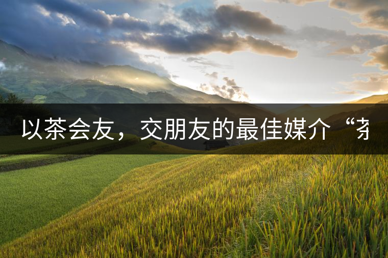 以茶會友，交朋友的最佳媒介“茶”！