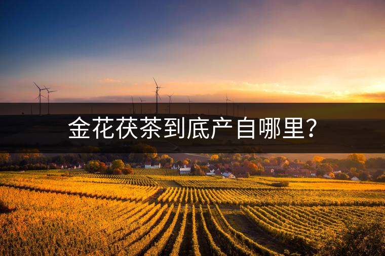 金花茯茶到底產(chǎn)自哪里？