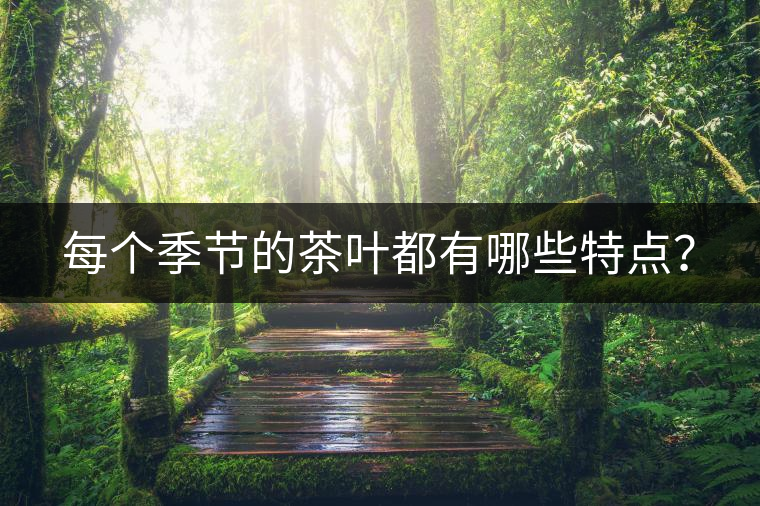 每個季節(jié)的茶葉都有哪些特點？