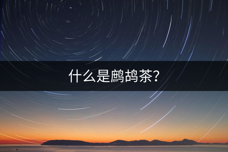 什么是鷓鴣茶？