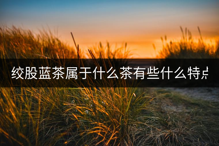 絞股藍茶屬于什么茶有些什么特點？