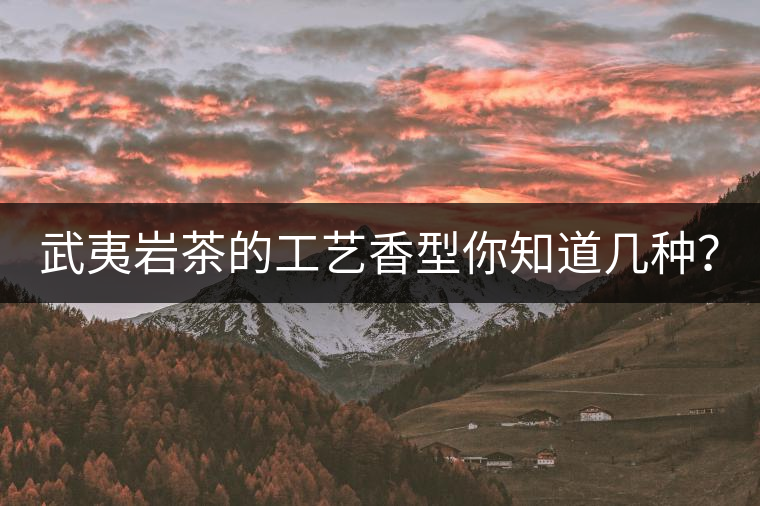 武夷巖茶的工藝香型你知道幾種？