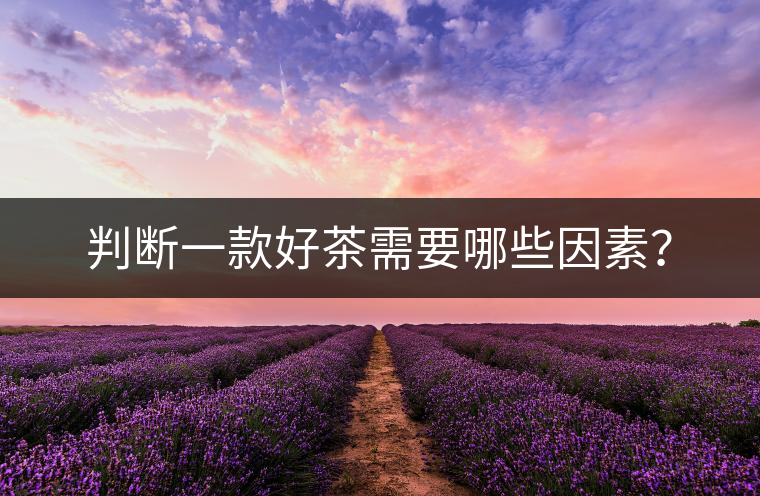 判斷一款好茶需要哪些因素？