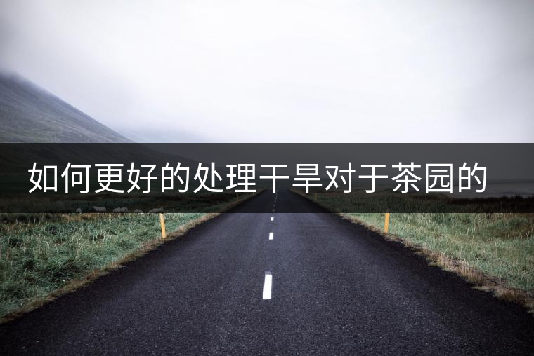如何更好的處理干旱對于茶園的影響？