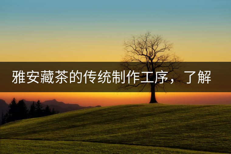 雅安藏茶的傳統(tǒng)制作工序，了解了傳統(tǒng)技藝才能更好的了解茶品！