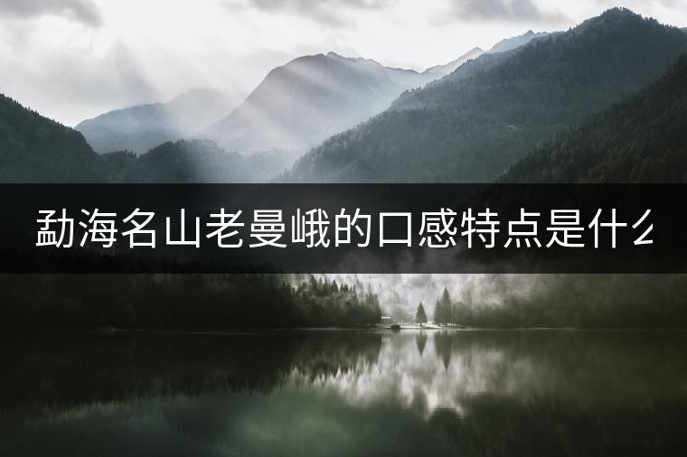 勐海名山老曼峨的口感特點(diǎn)是什么？
