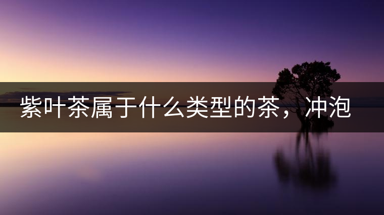 紫葉茶屬于什么類型的茶，沖泡需要注意什么？