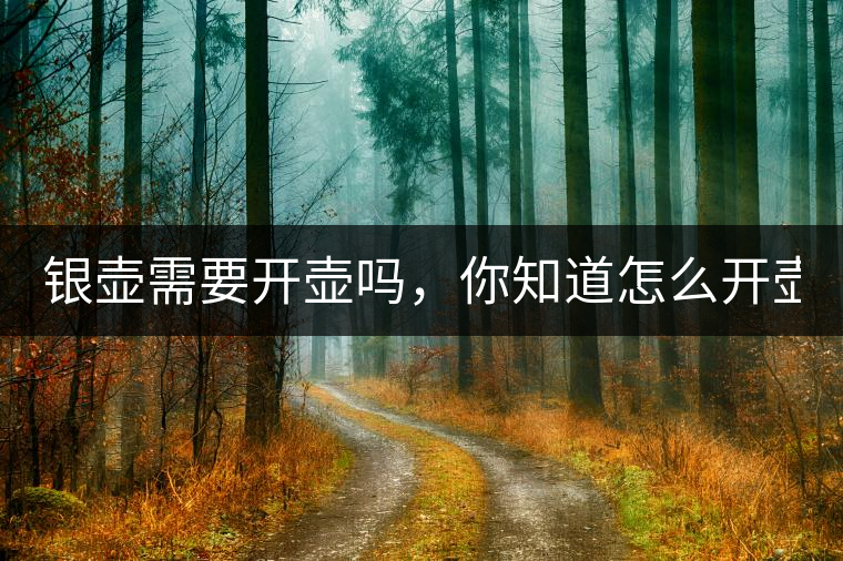 銀壺需要開(kāi)壺嗎，你知道怎么開(kāi)壺？