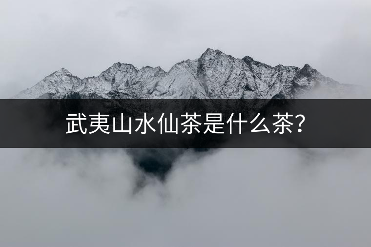 武夷山水仙茶是什么茶？