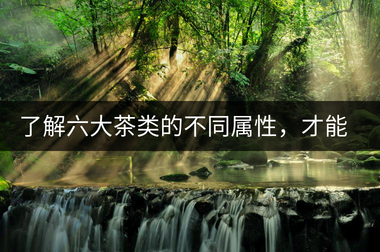 了解六大茶類的不同屬性，才能更好的選擇品飲！