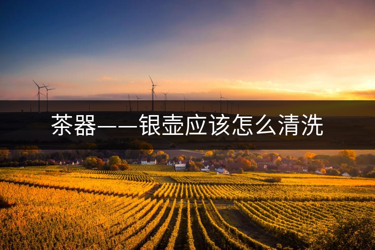 茶器——銀壺應該怎么清洗