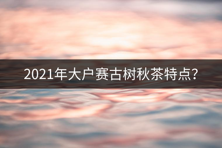 2021年大戶賽古樹秋茶特點(diǎn)？