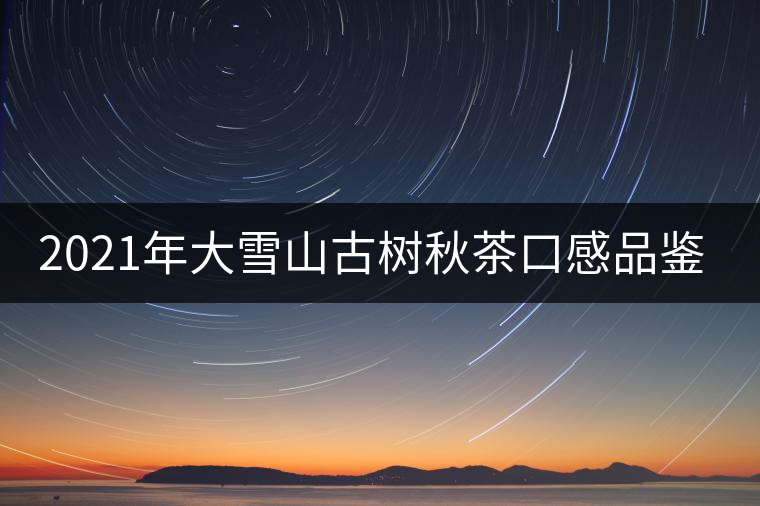 2021年大雪山古樹秋茶口感品鑒？
