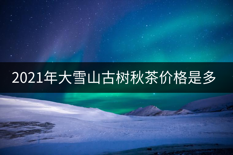 2021年大雪山古樹秋茶價(jià)格是多少？