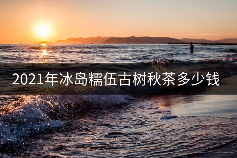 2021年冰島糯伍古樹秋茶多少錢一公斤？