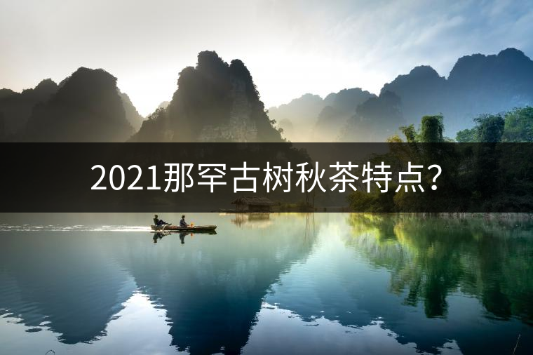 2021那罕古樹(shù)秋茶特點(diǎn)？