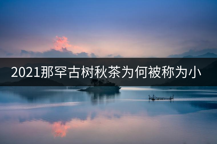 2021那罕古樹秋茶為何被稱為小昔歸？