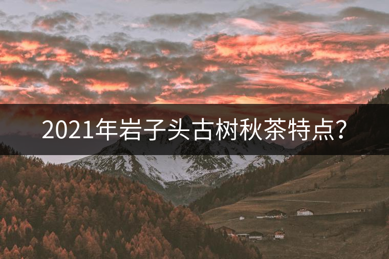 2021年巖子頭古樹秋茶特點(diǎn)? 2021年巖子頭古樹秋茶特點(diǎn)?